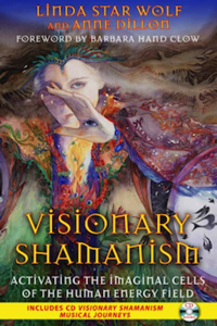 Visionary_Shamanism_Book