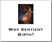 WhySentientBirth